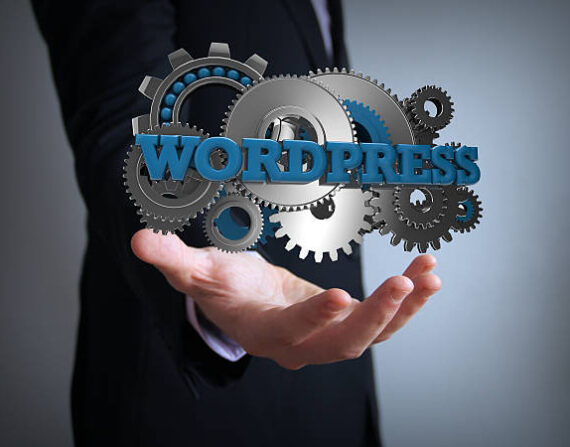 A Beginner’s Guide to Securing WordPress Websites